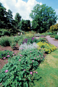 Here & There: Royal Acres of Green Image